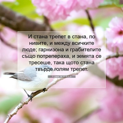Picture 07 - 1 Царе 14:15 BULG - И стана трепет в стана, по - Bible Verse Picture