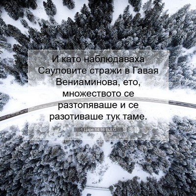 Picture 07 - 1 Царе 14:16 BULG - И като наблюдаваха - Bible Verse Picture