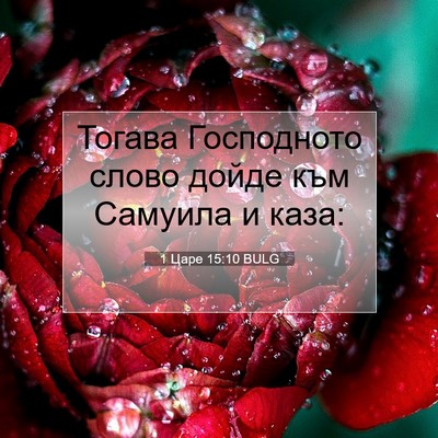 Picture 07 - 1 Царе 15:10 BULG - Тогава Господното слово - Bible Verse Picture