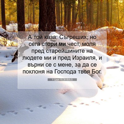 Picture 07 - 1 Царе 15:30 BULG - А той каза: Съгреших; но - Bible Verse Picture