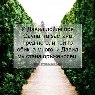 Picture 07 - 1 Царе 16:21 BULG - И Давид дойде пре Саула, та - Bible Verse Picture
