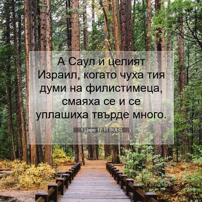 Picture 07 - 1 Царе 17:11 BULG - А Саул и целият Израил, - Bible Verse Picture