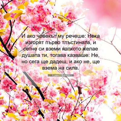 Picture 07 - 1 Царе 2:16 BULG - И ако човекът му речеше: - Bible Verse Picture