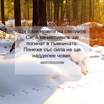 Picture 07 - 1 Царе 2:9 BULG - Ще пази нозете на светиите - Bible Verse Picture