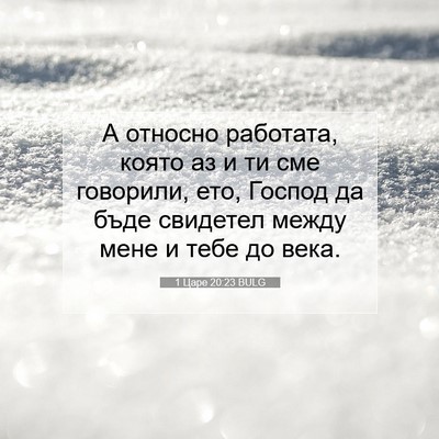 Picture 07 - 1 Царе 20:23 BULG - А относно работата, която - Bible Verse Picture