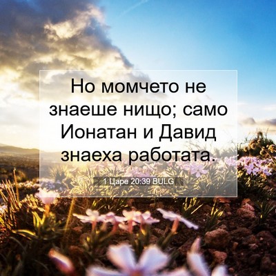Picture 07 - 1 Царе 20:39 BULG - Но момчето не знаеше нищо; - Bible Verse Picture