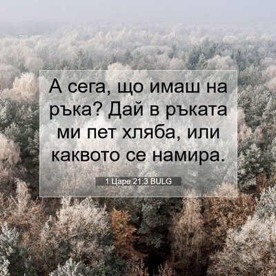 Picture 07 - 1 Царе 21:3 BULG - А сега, що имаш на ръка? Дай - Bible Verse Picture