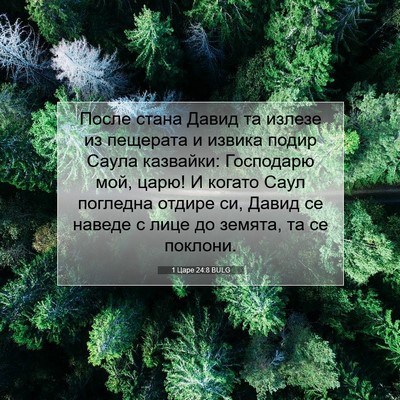 Picture 07 - 1 Царе 24:8 BULG - После стана Давид та - Bible Verse Picture