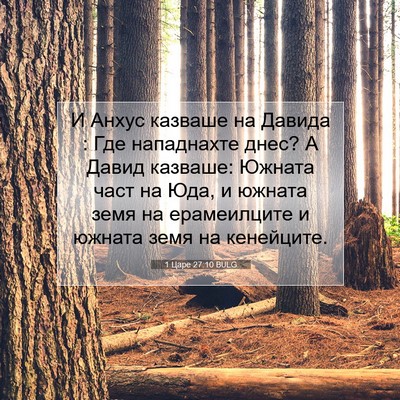 Picture 07 - 1 Царе 27:10 BULG - И Анхус казваше на Давида : - Bible Verse Picture