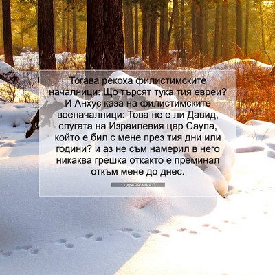 Picture 07 - 1 Царе 29:3 BULG - Тогава рекоха - Bible Verse Picture