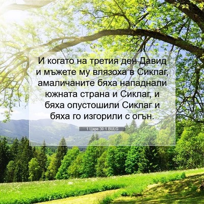 Picture 07 - 1 Царе 30:1 BULG - И когато на третия ден - Bible Verse Picture