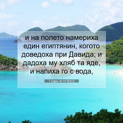 Picture 07 - 1 Царе 30:11 BULG - и на полето намериха един - Bible Verse Picture