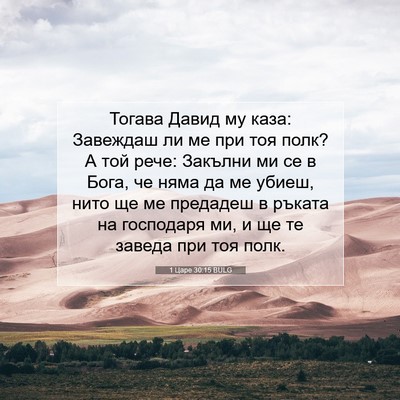 Picture 07 - 1 Царе 30:15 BULG - Тогава Давид му каза: - Bible Verse Picture
