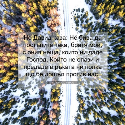 Picture 07 - 1 Царе 30:23 BULG - Но Давид каза: Не бива да - Bible Verse Picture