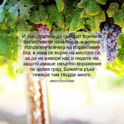 Picture 07 - 1 Царе 5:11 BULG - И тъй, пратиха да съберат - Bible Verse Picture