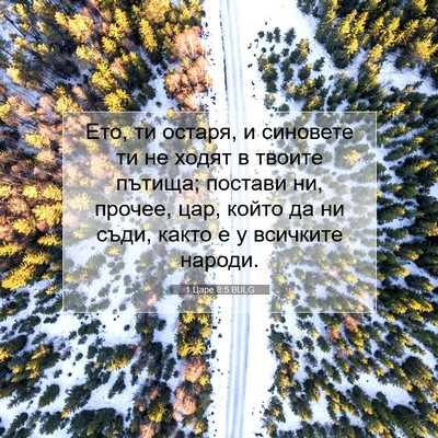 Picture 07 - 1 Царе 8:5 BULG - Ето, ти остаря, и синовете - Bible Verse Picture