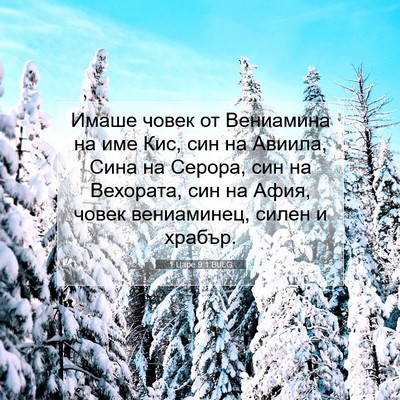 Picture 07 - 1 Царе 9:1 BULG - Имаше човек от Вениамина - Bible Verse Picture