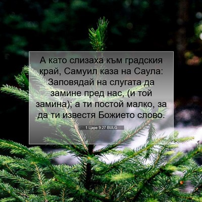 Picture 07 - 1 Царе 9:27 BULG - А като слизаха към - Bible Verse Picture