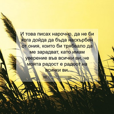 Picture 07 - 2 Коринтяни 2:3 BULG - И това писах нарочно, да не - Bible Verse Picture