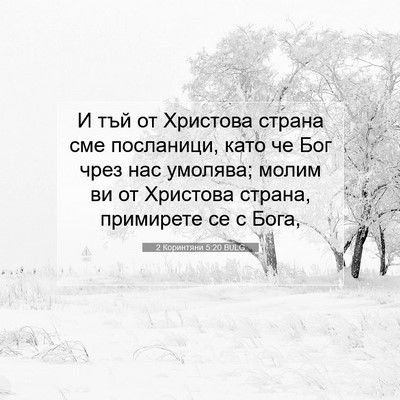 Picture 07 - 2 Коринтяни 5:20 BULG - И тъй от Христова страна - Bible Verse Picture