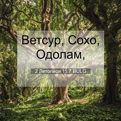 Picture 07 - 2 Летописи 11:7 BULG - Ветсур, Сохо, - Bible Verse Picture