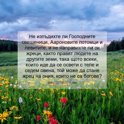 Picture 07 - 2 Летописи 13:9 BULG - Не изпъдихте ли Господните - Bible Verse Picture