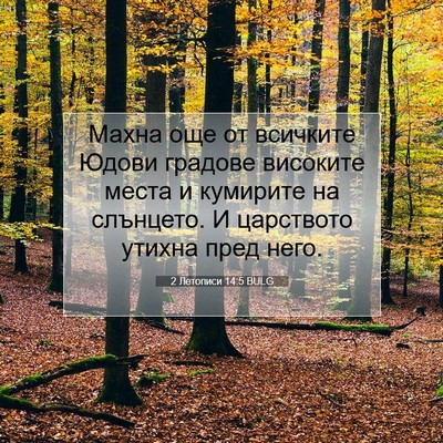 Picture 07 - 2 Летописи 14:5 BULG - Махна още от всичките - Bible Verse Picture
