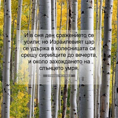 Picture 07 - 2 Летописи 18:34 BULG - И в оня ден сражението се - Bible Verse Picture