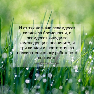 Picture 07 - 2 Летописи 2:18 BULG - И от тях назначи - Bible Verse Picture