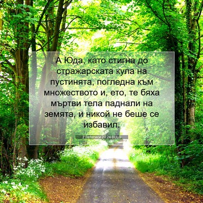 Picture 07 - 2 Летописи 20:24 BULG - А Юда, като стигна до - Bible Verse Picture