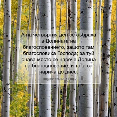 Picture 07 - 2 Летописи 20:26 BULG - А на четвъртия ден се - Bible Verse Picture
