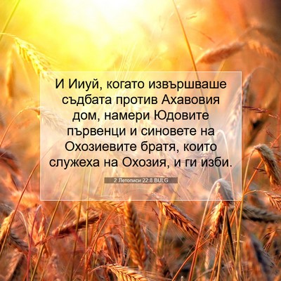 Picture 07 - 2 Летописи 22:8 BULG - И Ииуй, когато извършваше - Bible Verse Picture