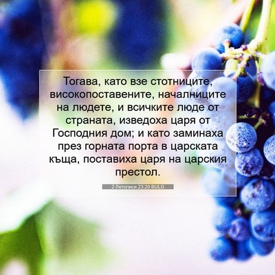 Picture 07 - 2 Летописи 23:20 BULG - Тогава, като взе - Bible Verse Picture