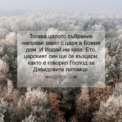 Picture 07 - 2 Летописи 23:3 BULG - Тогава цялото събрание - Bible Verse Picture
