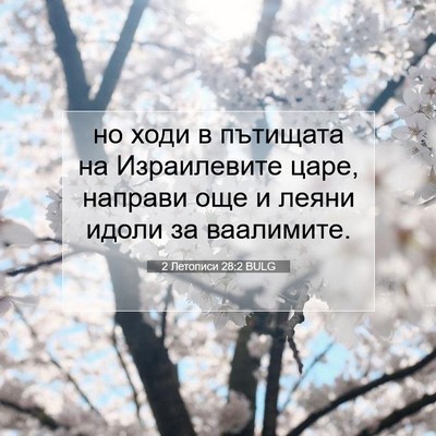 Picture 07 - 2 Летописи 28:2 BULG - но ходи в пътищата на - Bible Verse Picture