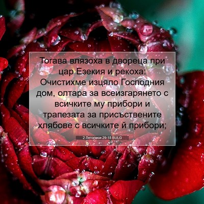 Picture 07 - 2 Летописи 29:18 BULG - Тогава влязоха в двореца - Bible Verse Picture