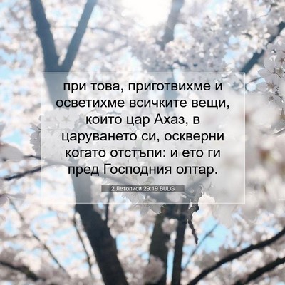 Picture 07 - 2 Летописи 29:19 BULG - при това, приготвихме и - Bible Verse Picture