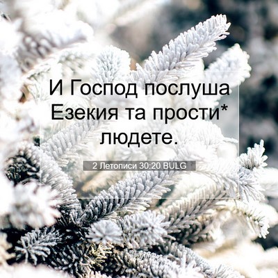Picture 07 - 2 Летописи 30:20 BULG - И Господ послуша Езекия та - Bible Verse Picture