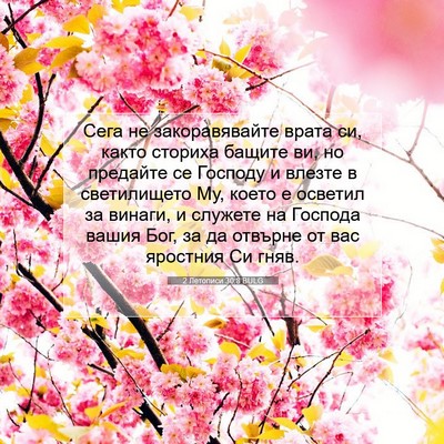 Picture 07 - 2 Летописи 30:8 BULG - Сега не закоравявайте - Bible Verse Picture