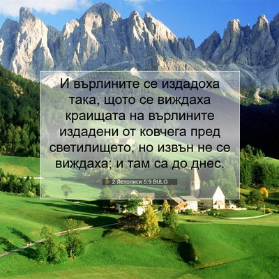 Picture 07 - 2 Летописи 5:9 BULG - И върлините се издадоха - Bible Verse Picture