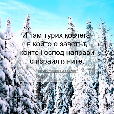 Picture 07 - 2 Летописи 6:11 BULG - И там турих ковчега, в - Bible Verse Picture