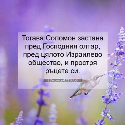 Picture 07 - 2 Летописи 6:12 BULG - Тогава Соломон застана - Bible Verse Picture
