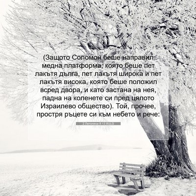 Picture 07 - 2 Летописи 6:13 BULG - (Защото Соломон беше - Bible Verse Picture