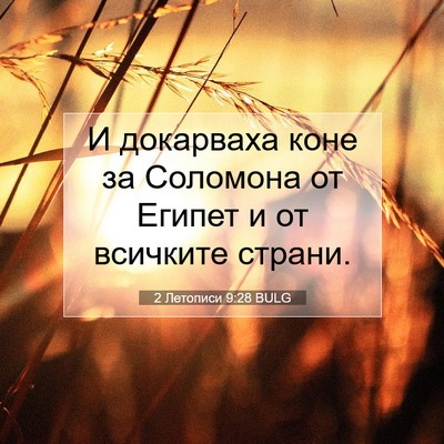 Picture 07 - 2 Летописи 9:28 BULG - И докарваха коне за - Bible Verse Picture