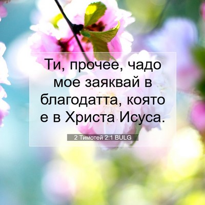 Picture 07 - 2 Тимотей 2:1 BULG - Ти, прочее, чадо мое - Bible Verse Picture