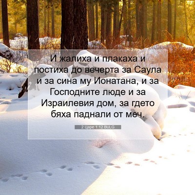 Picture 07 - 2 Царе 1:12 BULG - И жалиха и плакаха и - Bible Verse Picture