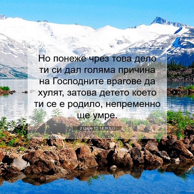 Picture 07 - 2 Царе 12:14 BULG - Но понеже чрез това дело ти - Bible Verse Picture