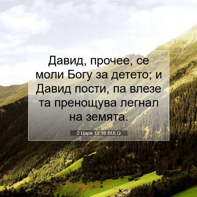 Picture 07 - 2 Царе 12:16 BULG - Давид, прочее, се моли Богу - Bible Verse Picture