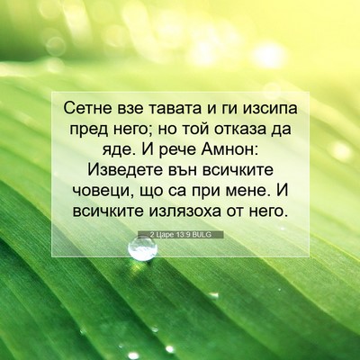 Picture 07 - 2 Царе 13:9 BULG - Сетне взе тавата и ги - Bible Verse Picture