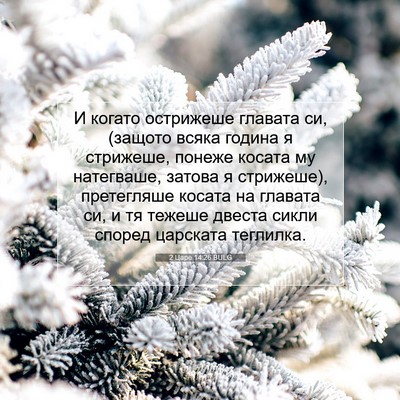 Picture 07 - 2 Царе 14:26 BULG - И когато острижеше главата - Bible Verse Picture